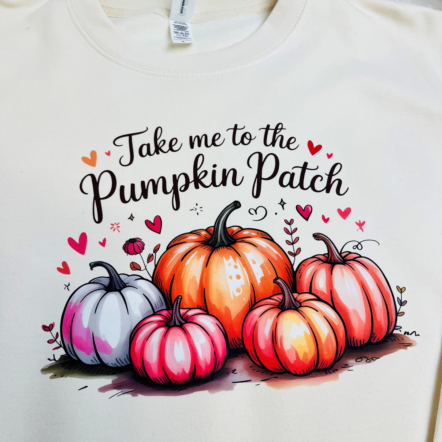 Pumpkin Patch Halloween Jumper