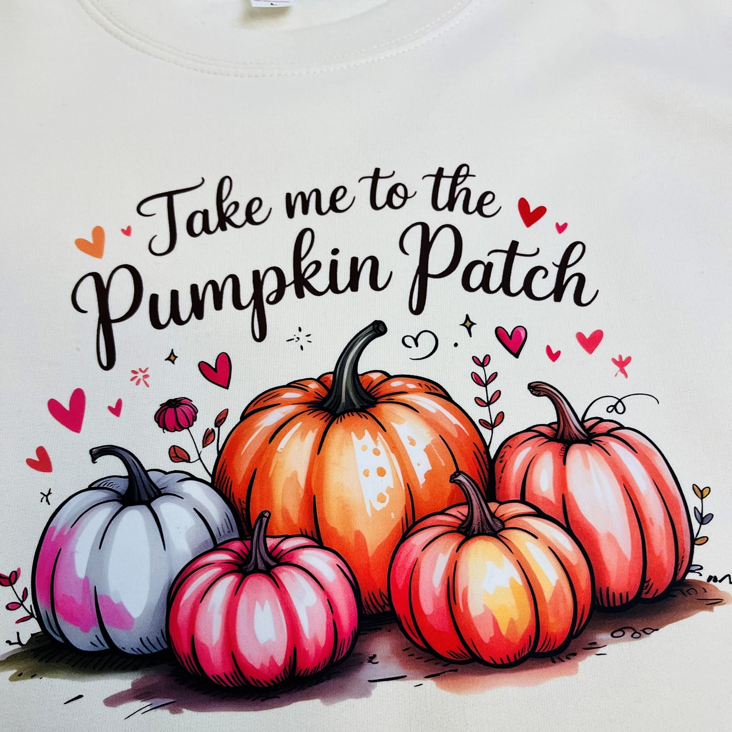 Pumpkin Patch Halloween Jumper