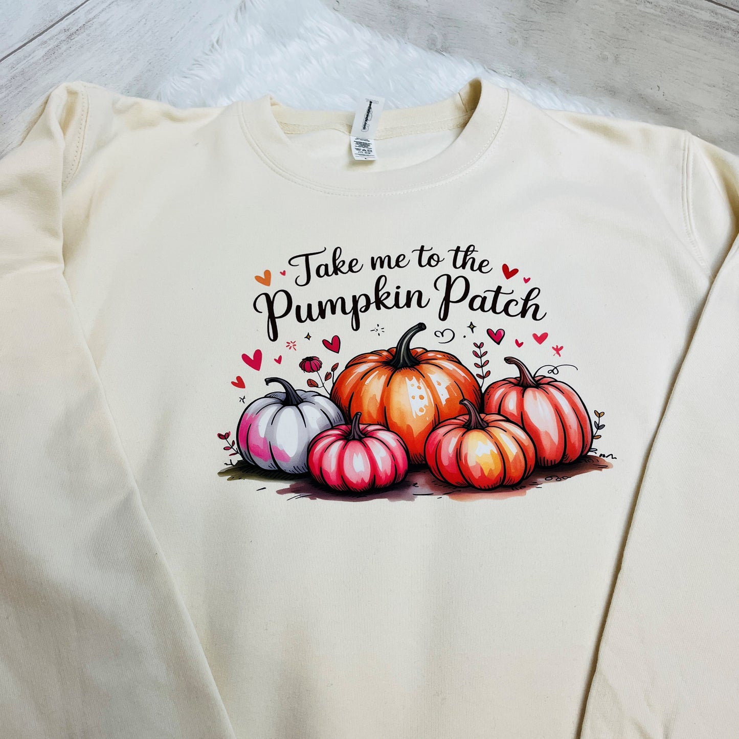 Pumpkin Patch Halloween Jumper